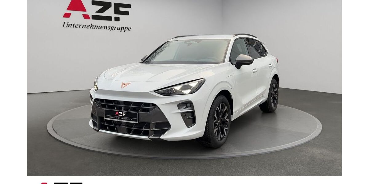 Cupra Terramar 15.000 km 39.990 &euro; Flensburg 24941