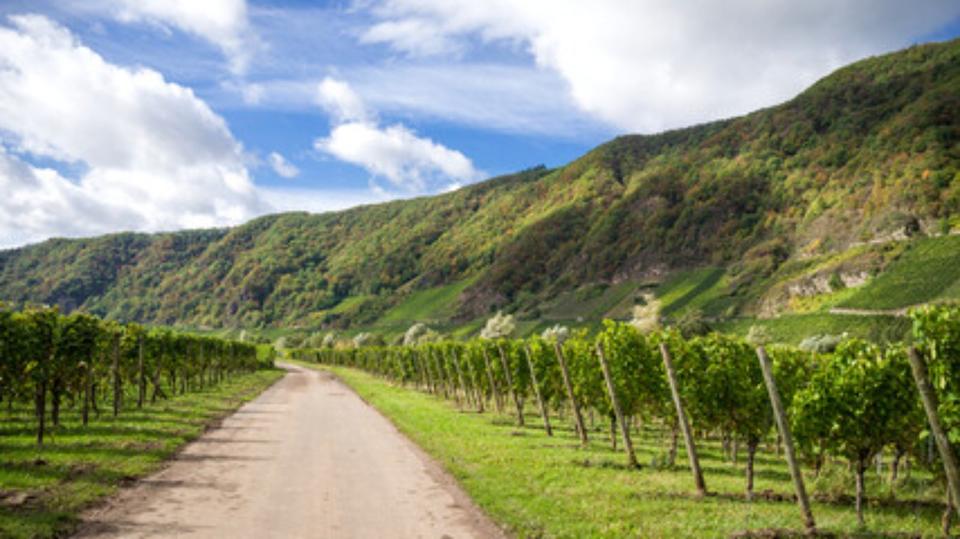 Einfamilienhaus Kröv - 4.5 Zimmer, 90 m&sup2;, 1.300&euro; | Angebot:24908874