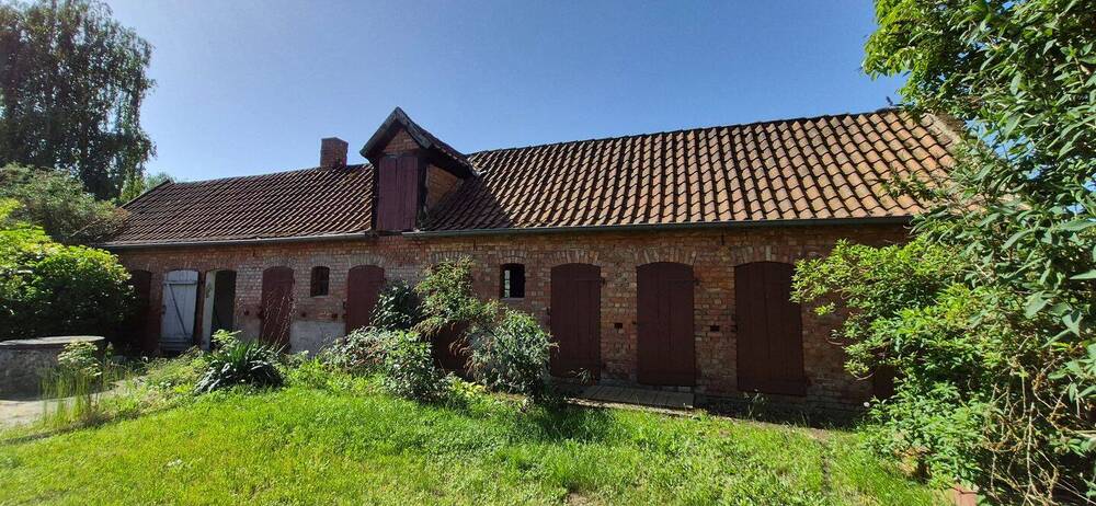 Stadtnah und ländlich zugleich - Charmantes EFH und Nebengelass mit viel Potenzial - Einfamilienhaus Gusborn Klein Gusborn | Angebot:26904928