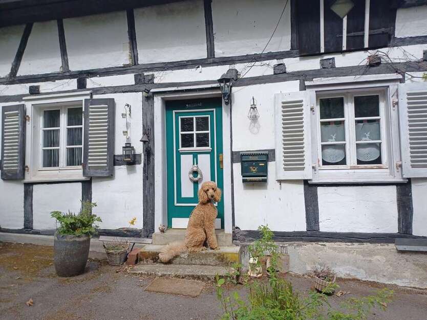 Haus zum Kaufen in Bergneustadt 159.000 € 170 m²
