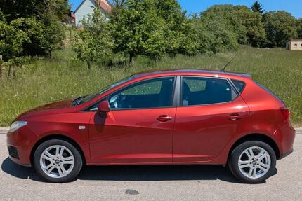 Seat Ibiza 222.983 km 3.600 &euro; Pleinfeld 91785