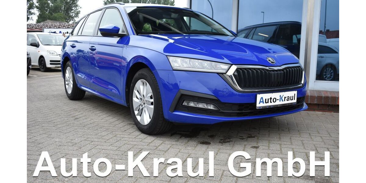 Skoda Octavia 74.145 km 17.749 &euro; Rehna 19217