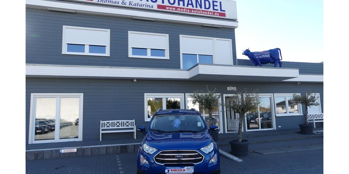 Ford EcoSport 55.000 km 13.900 &euro; Magdeburg 39108