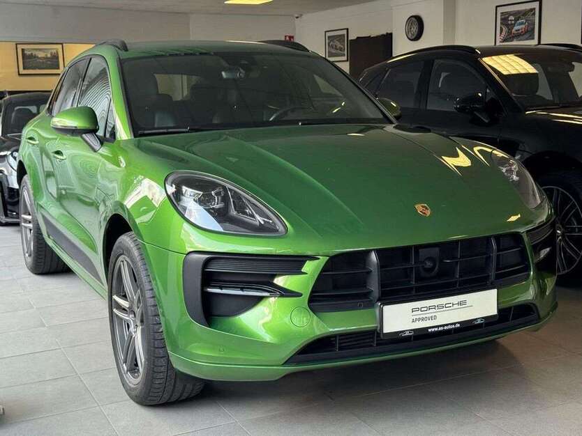 Macan