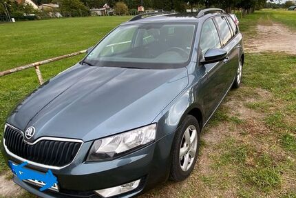 Skoda Octavia 187.000 km 8.350 € Groß Kreutz 14550