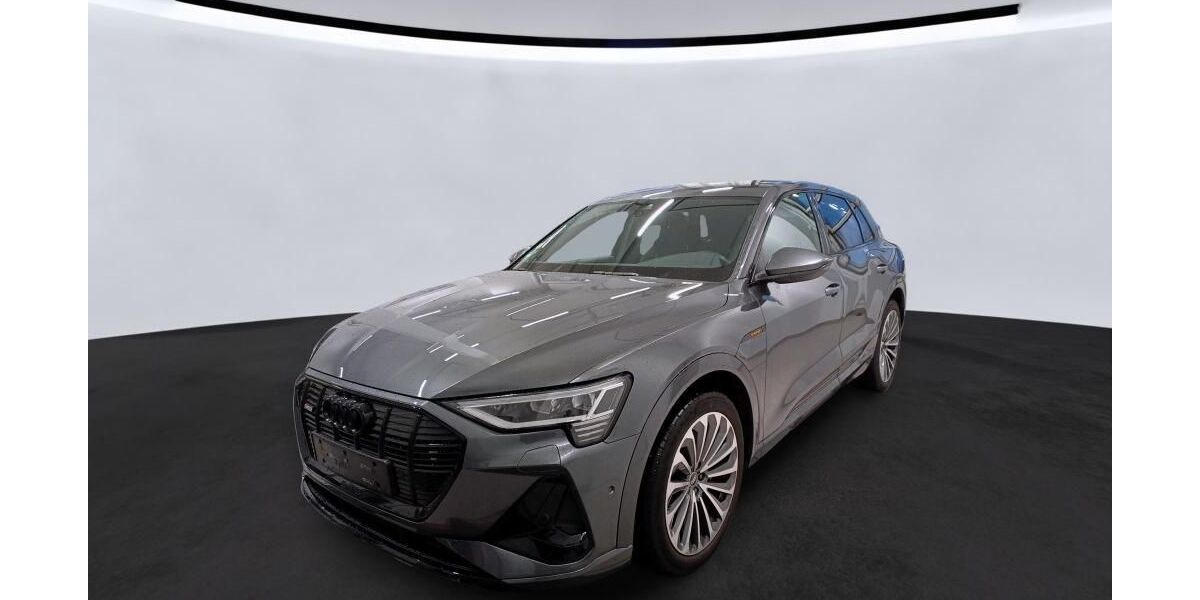 Audi e-tron 44.222 km 32.990 &euro; Hamburg 22047