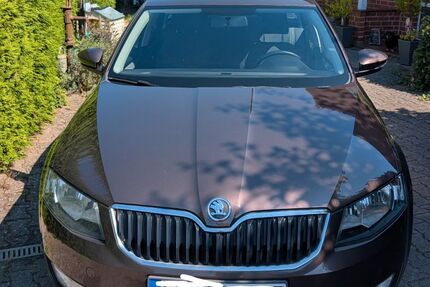 Skoda Octavia 165.000 km 6.500 &euro; Reppenstedt 21391