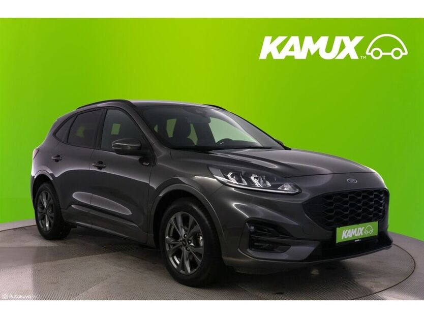 Kuga