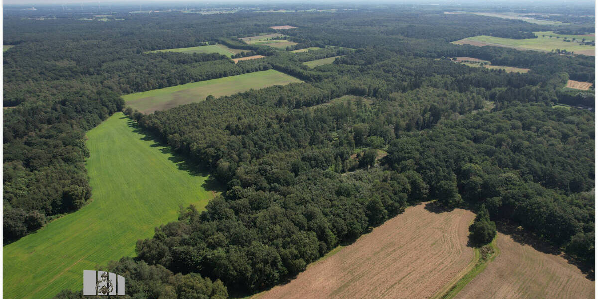 Teilsanierte Schule - Wohnen im idyllischen Hünxerwald zimmer