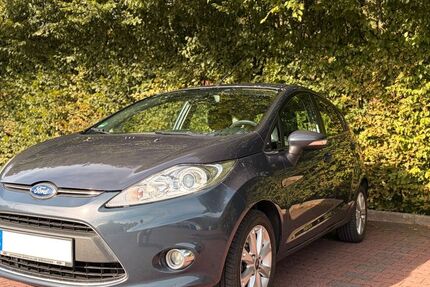 Ford Fiesta 146.000 km 4.500 &euro; Hohenstein 65329