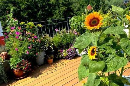 Wohnung Schwerin (Krebsförden) Gartenstadt - 3 Zimmer, 129 m&sup2;, 535.000&euro; | Angebot:25625732