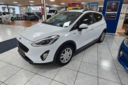 Ford Fiesta 100.528 km 11.990 &euro; Gronau 48599