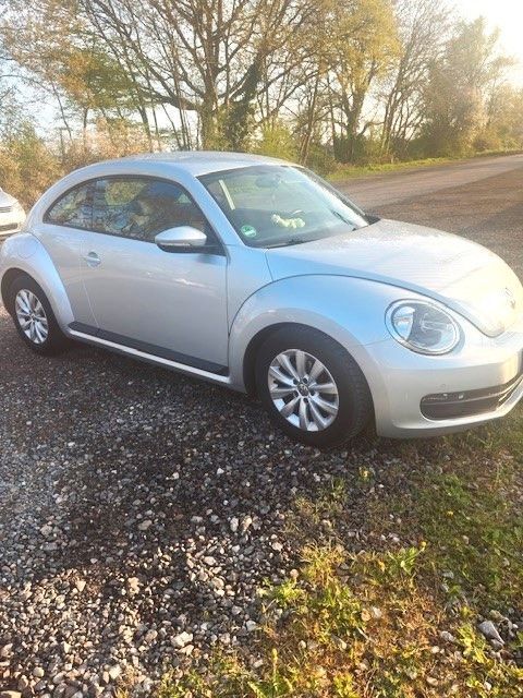 Beetle