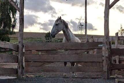 Haus Simmern/Hunsrück Hunsrück - 445.000&euro; | Angebot:25770278