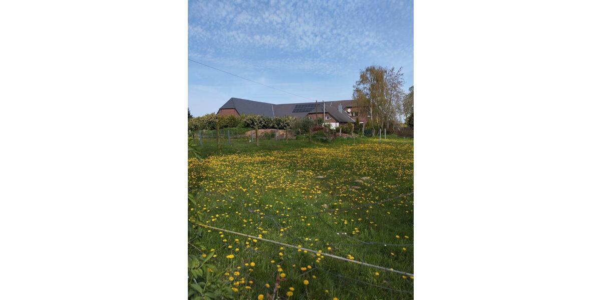Bauernhaus, Landhaus Goch - 8.5 Zimmer, 250 m&sup2;, 800.000&euro; | Angebot:26940571