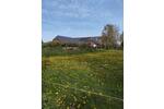 Bauernhaus, Landhaus Goch - 8.5 Zimmer, 250 m&sup2;, 800.000&euro; | Angebot:26940571