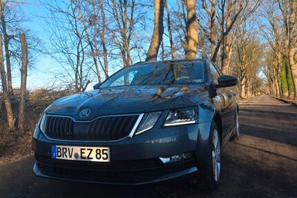 Skoda Octavia 92.000 km 13.499 &euro; Scheeßel 27383