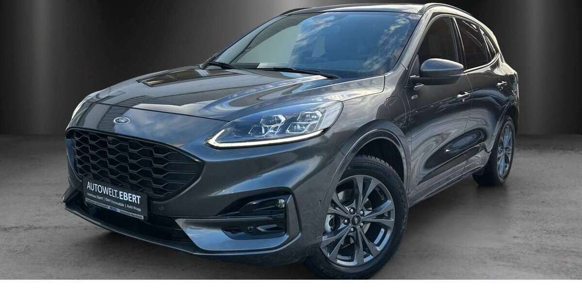 Ford Kuga 31.490 km 26.890 &euro; Frankenthal 67227