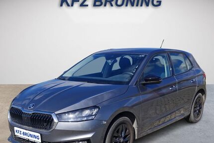 Skoda Fabia 20.318 km 17.380 &euro; Lingen (Ems) 49811