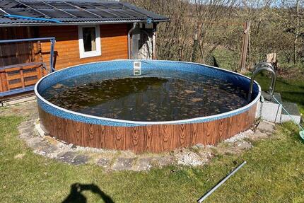 Wohnung in Griebel mit Sauna und Gartenbenutzung