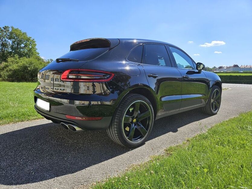 Macan