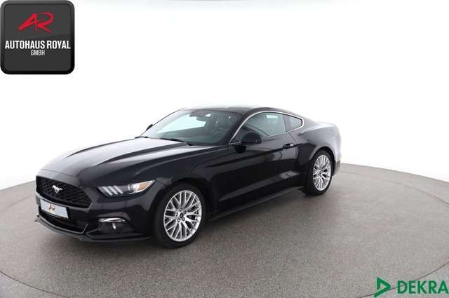 Mustang