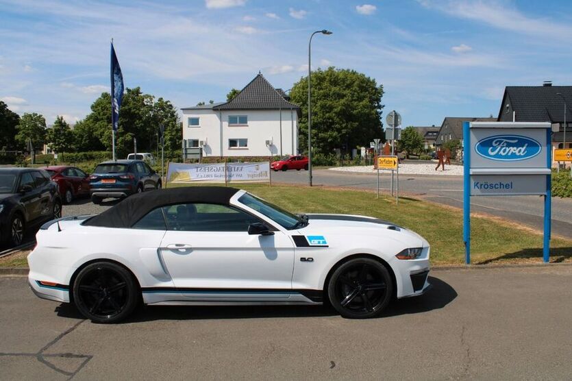 Mustang