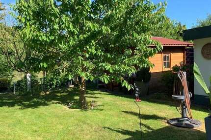 Haus Homburg - 6 Zimmer, 162 m&sup2;, 445.000&euro; | Angebot:26894596