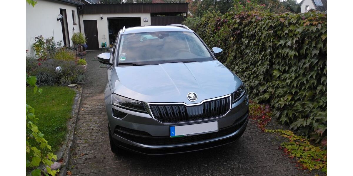 Skoda Karoq 56.000 km 20.500 &euro; Leezen 23816