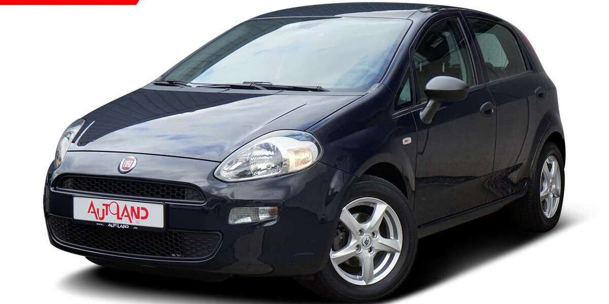 Fiat Punto 79.973 km 9.950 € Gera 07546
