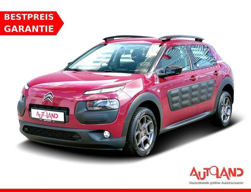 C4 Cactus