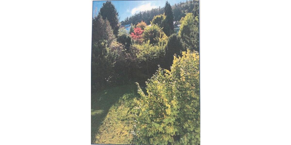 Etagenwohnung Gründau - 2 Zimmer, 60 m&sup2;, 560&euro; | Angebot:25440014