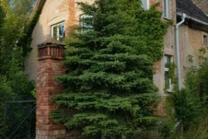 Einfamilienhaus nähe Halle zimmer