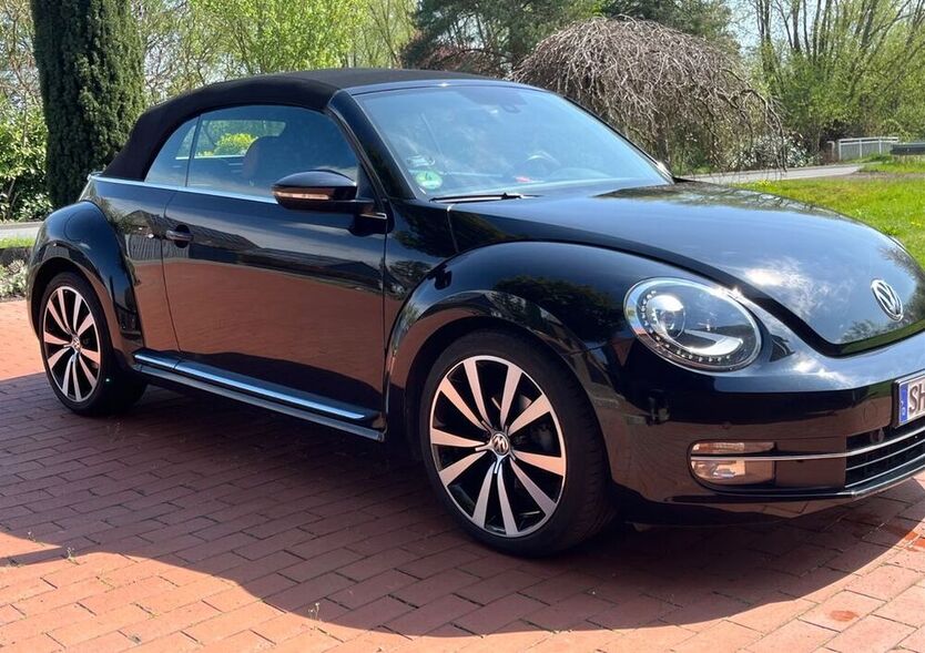 Beetle