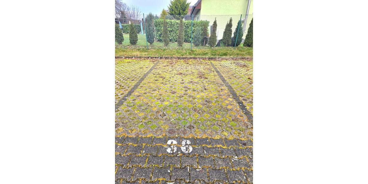 2-Zimmer-Wohnung mit PKW-Stellplatz! Barrierefrei! Ideal für Eigennutzer oder Kapitalanleger! - Erdgeschoßwohnung Burgstädt | Angebot:25645940