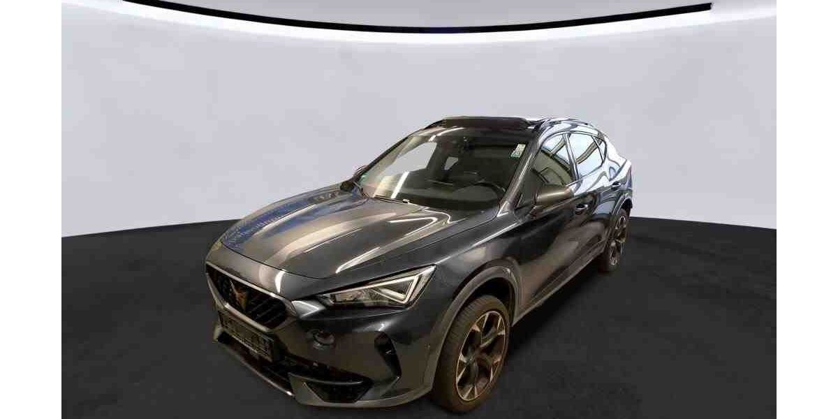 Cupra Formentor 38.460 km 30.900 &euro; Bad Camberg 65520