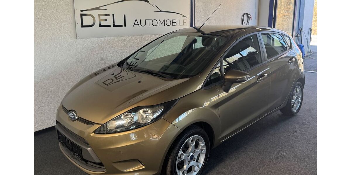 Ford Fiesta 269.000 km 3.490 € Krauchenwies 72505