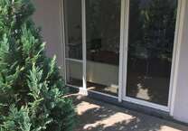 Wohnung zum Mieten in Großenhain 241 € 37 m²