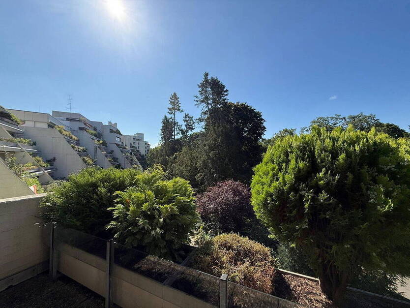Große 4 Zi-Terrassenwohnung mit Blick ins Grüne