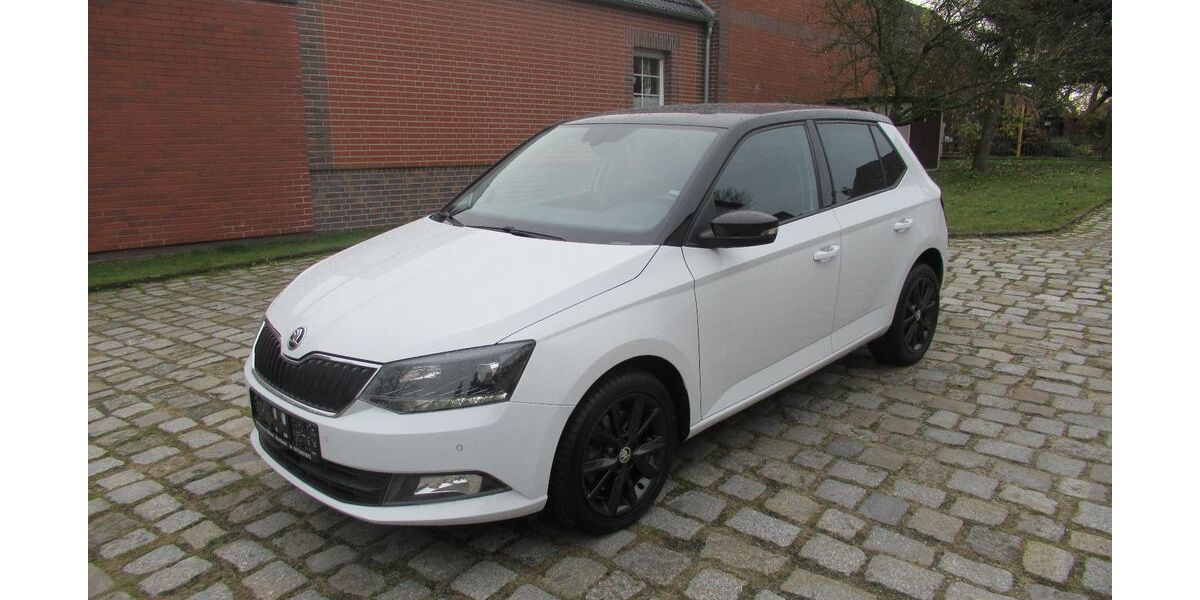 Skoda Fabia 91.700 km 11.000 &euro; Vetschau 03226