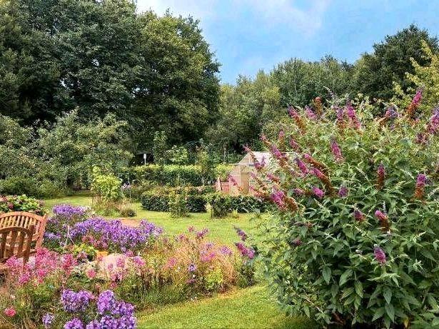 Einfamilienhaus Zeven - 8 Zimmer, 300 m&sup2;, 699.000&euro; | Angebot:25942775