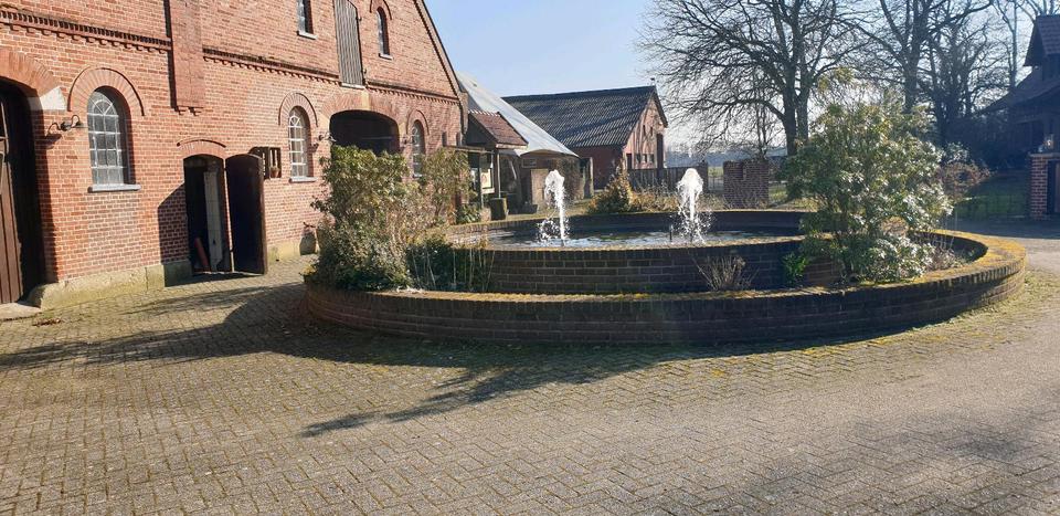 Gewerbeobjekt Neuenhaus - 1.500&euro; | Angebot:25414468