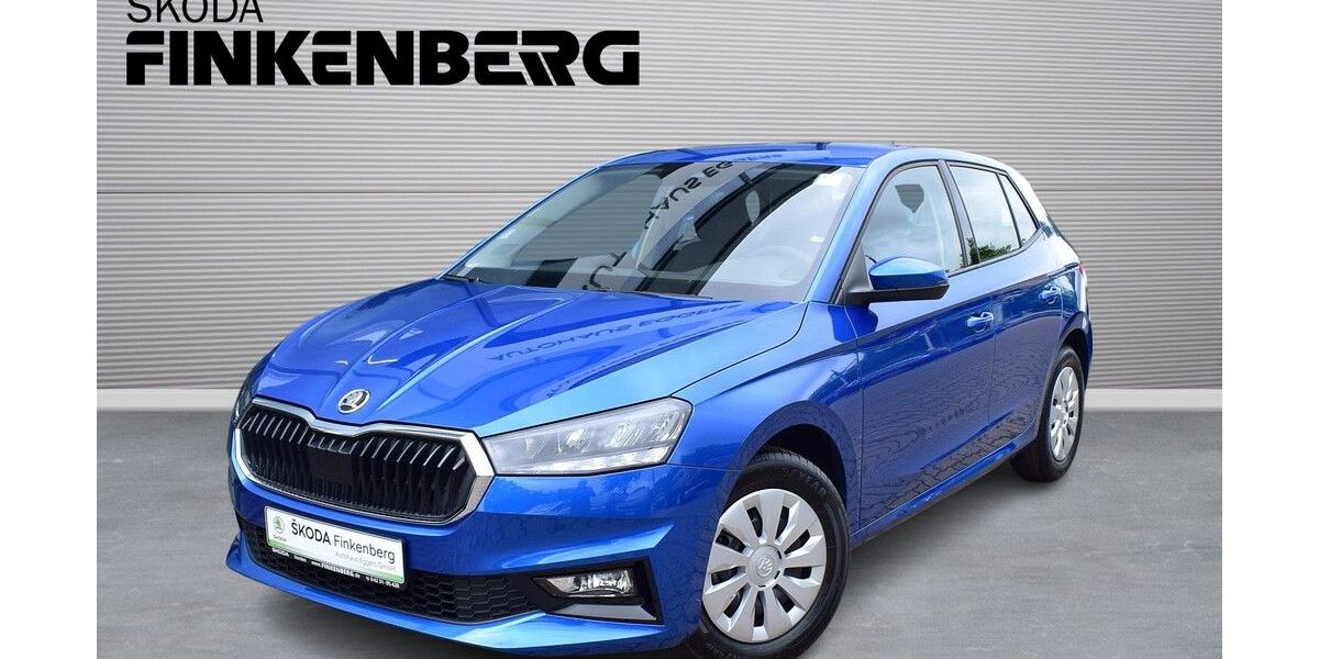 Skoda Fabia 4.400 km 18.780 &euro; Verden 27283