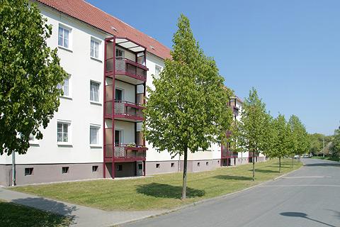 2-Raum-Wohnung in Ziebigk zimmer
