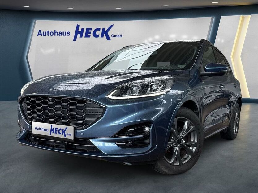 Kuga