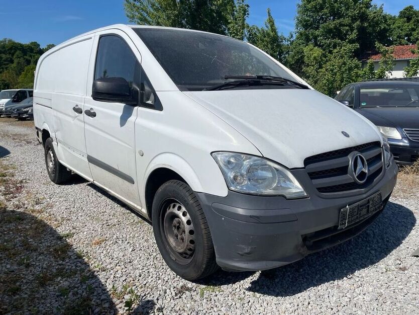 Vito