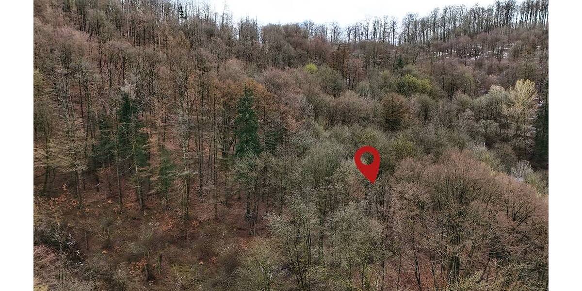 Grundstück Bad Lauterberg im Harz - 6.000&euro; | Angebot:26246309