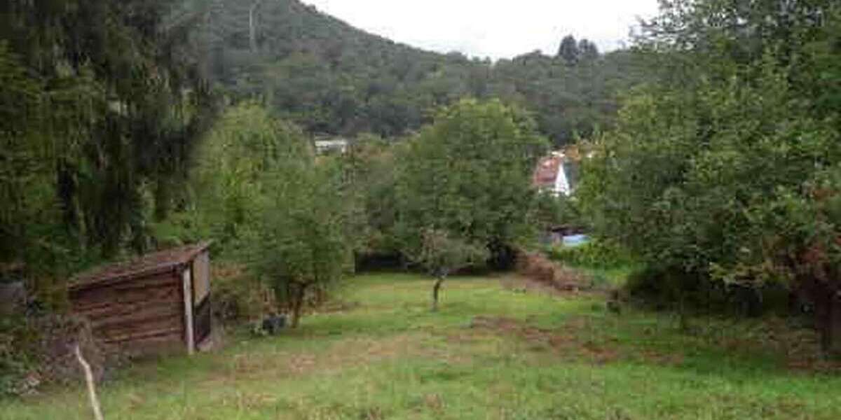 Grundstück Bad Dürkheim - Hardenburg Hardenburg - 351.000&euro; | Angebot:24873485