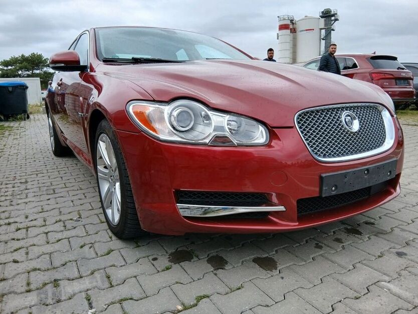 XF