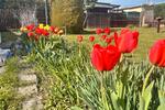 Grundstück Plauen Alt Chrieschwitz - 5.300&euro; | Angebot:25756155